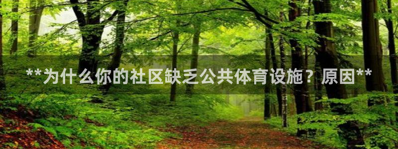 尊龙app登录不了