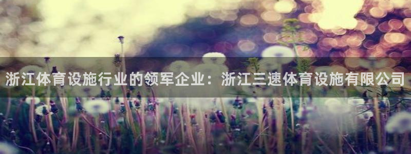 尊龙信息科技有限公司