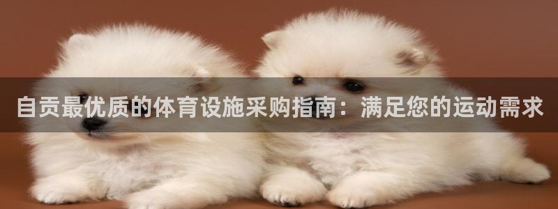 尊龙凯时平台还是万博好