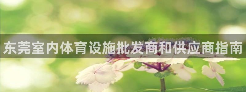 尊龙凯时赞助