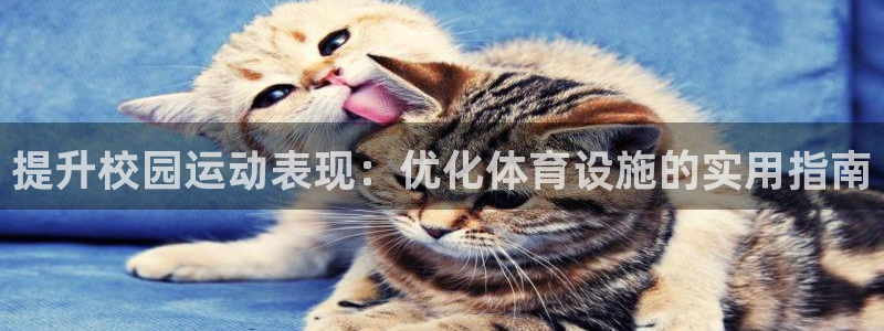 尊龙凯时产品系列