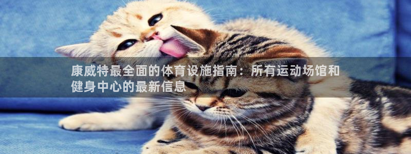 尊龙官网