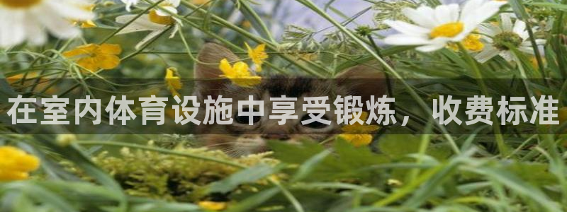 尊龙人生就是博下载