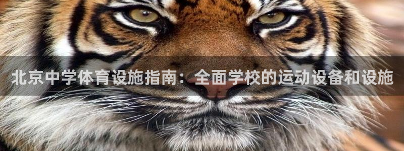 尊龙d88官网so问来就送38