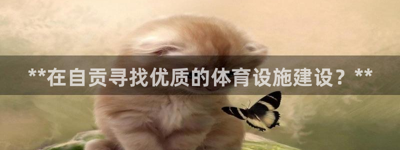尊龙ag旗舰厅登录 租车app下载