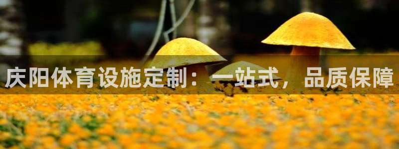 尊龙d88官网去来就送38