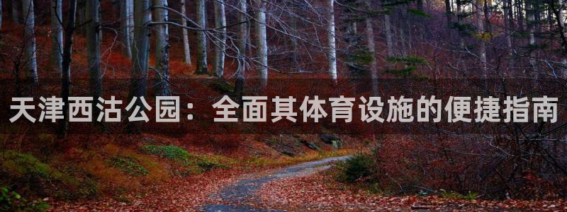 尊龙新版官网网页版