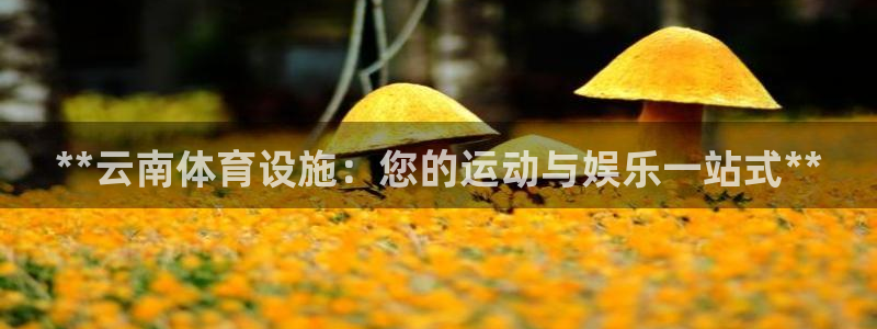 凯时游戏app