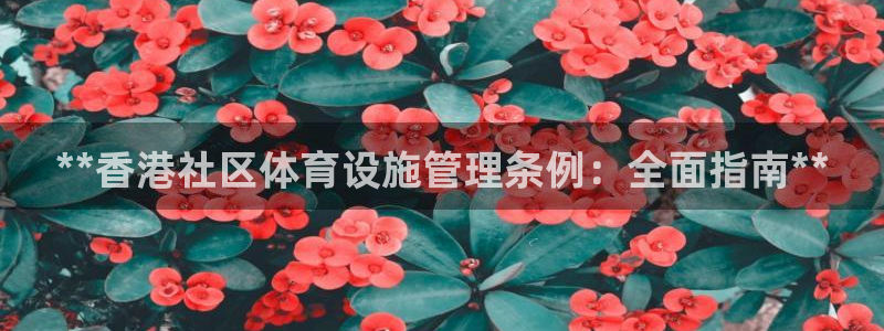尊龙凯时网娱乐官网