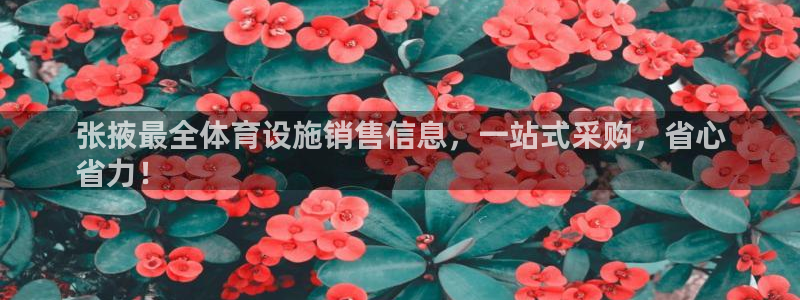 尊龙官方网站是真的吗