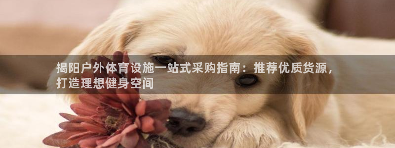 尊龙人生就是博旧版