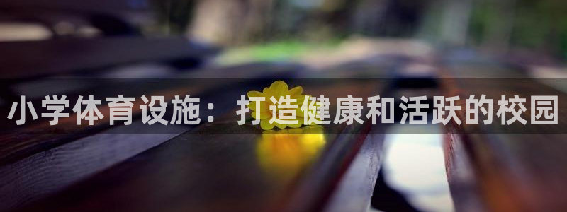 尊龙凯时网站怎么样