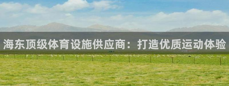 尊龙人生就是博电脑版