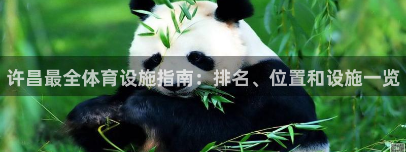 尊龙现金娱乐 下载