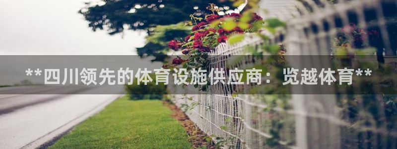 凯时在线平台官网