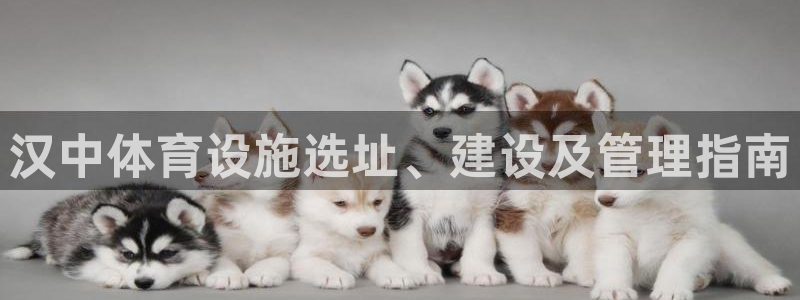 尊龙官网/首选kpm