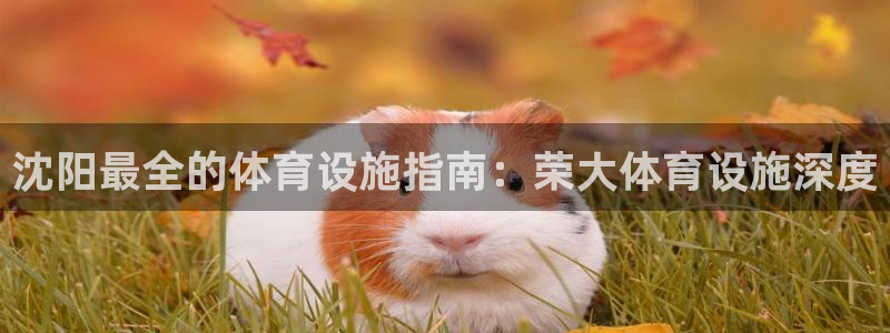 尊龙一人生就是搏