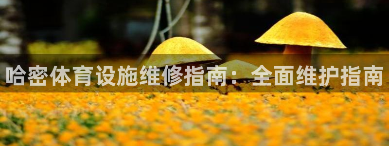 尊龙人生就是博d88 - Z6尊龙官方网站