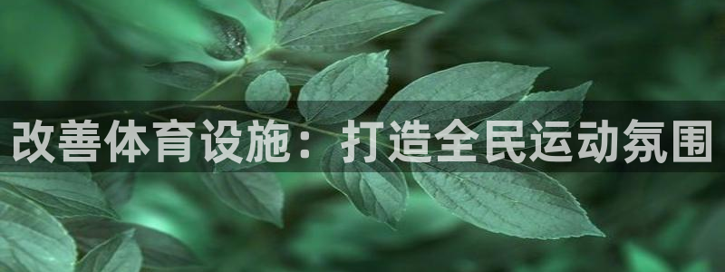 尊龙官网免费下载安卓