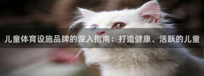 尊龙app最新版本官网