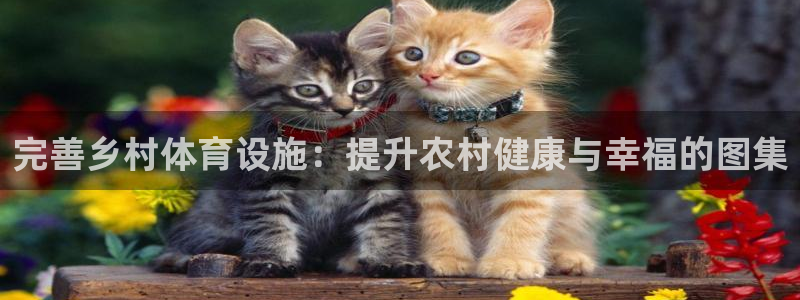 尊龙/人生就是博