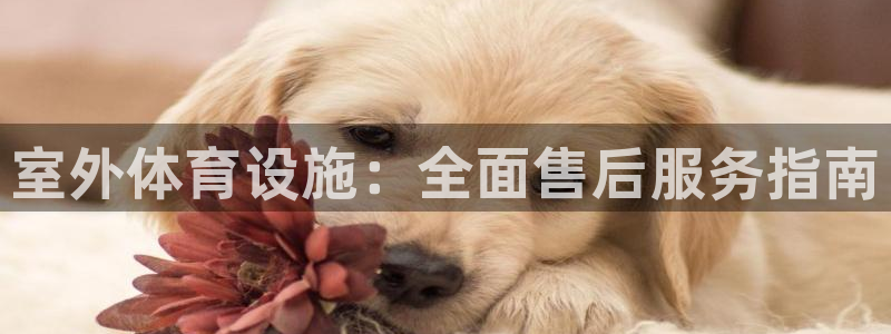 尊龙服饰有限公司地址