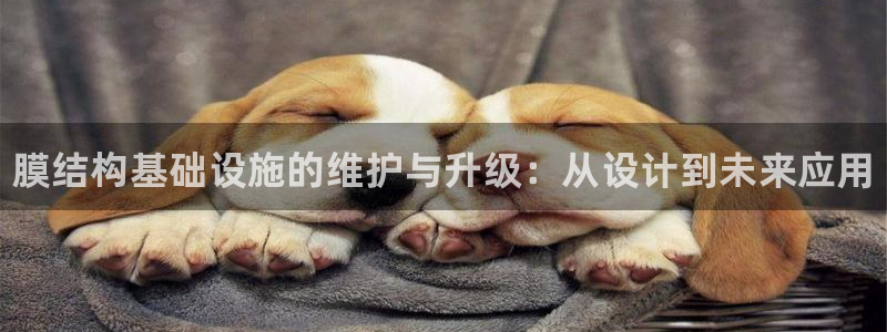 凯时ag旗舰厅登录