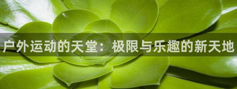 尊龙凯时防屏蔽网址